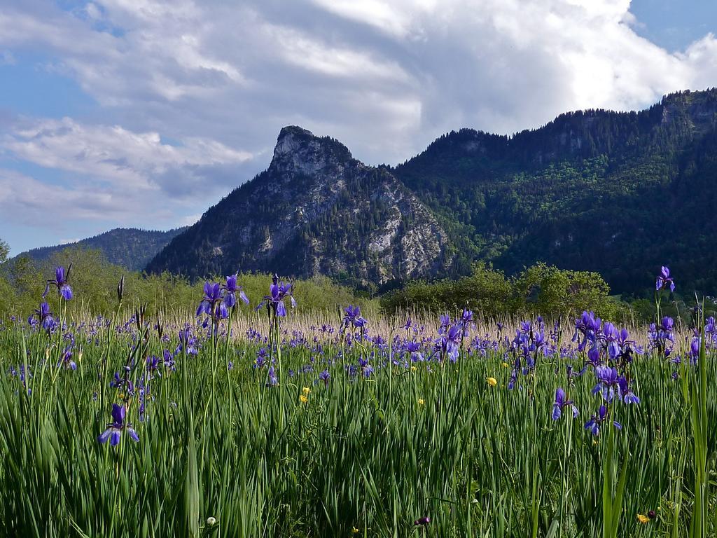 St Lukas Apartments Oberammergau Esterno foto