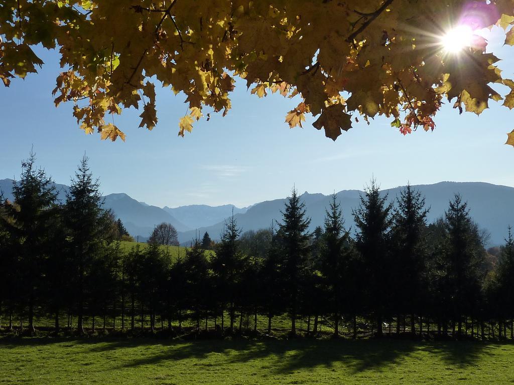 St Lukas Apartments Oberammergau Esterno foto